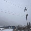 하이원리조트 근처 겨울 도롱이연못 트레킹 후기