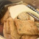 강남언니애견미용호텔 | 술이 술술 6월🍺