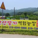 초천4리 이미지