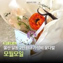 모일 | 울산 남구 달동 꽃집 가성비 모월모일 미니 꽃다발 후기