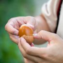 푸른초원농원 이미지