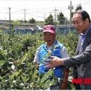 조한신농장 이미지