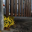 백수농장 이미지