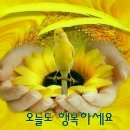 청학로학교길 이미지