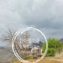 미소탑부동산중개 | 한아름마을 매매 투자금 8천만원가능 올샷시포함 특올수리-한아름마을 전문 탑부동산