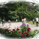 어답산농장 이미지