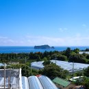 호텔 펠리시아 이미지