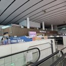 5060 한식디저트 | 인천공항 터미널2 마티나골드 라운지 음식/샤워 후기