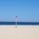 바다정원 이미지