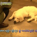 종일농장 이미지