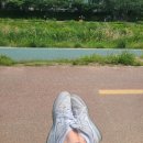 리시오네일 이미지