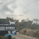 엘시아 애견풀빌라 | [남해/숙소] ‘엘시아 애견동반 풀빌라’