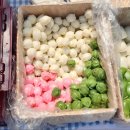 동신곡낚시터