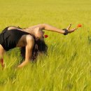 진주무도장 이미지