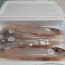 반건조생선 군산 박대구이 명블리수산