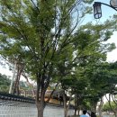 인천문학경기장 | 2025 Ye live Korea 칸예 내한공연 인천 문학경기장 후기/주차정보