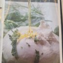 노아스빌