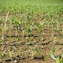 엄마농원 이미지