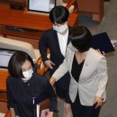 정의당 류호정 의원이 국회 본회의 때 입었던 옷은 원피스가 전부가 아니다 이미지