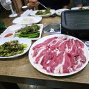 자연농원생오리 이미지
