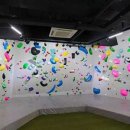 수원-1563 네이버블로그