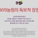 보라농원
