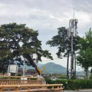 한옥스테이 행복한 집 | 경주여행 가족숙소 - 황리단길 근처 게스트하우스 한옥스테이 행복한집