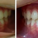 손영진치과의원 이미지