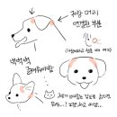 감자마을 이미지