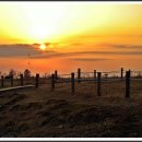 하늘공원 이미지