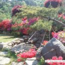 동악농원 이미지