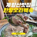하야로비식당 | 계양산맛집 등산후 즐기는 오리백숙 단체식사 좋은곳 아기랑 하야로비