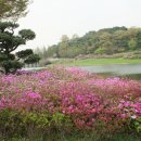 H9184 이미지