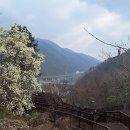 유선대암장
