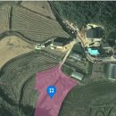 금과면사무소 이미지