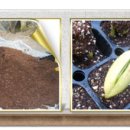 사은농장 이미지