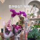 메리제이플라워카페