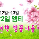 ◑ [ 남이섬 벚꽃나들이 + 와인파티 엠티 ] ◑ 4월12일~13일 - 1박2일~ 4륜바이크, 번지점프까지 ◑ (부제 : 이성과함께 짜릿하고 즐거운 봄소풍여행 ) 이미지