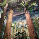 보령베스트 이미지