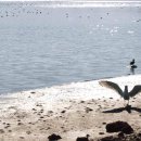 은빛파도 이미지