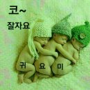 진영 봉하마을 가을 이미지