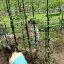 다산하늘빛유치원(공립) 이미지