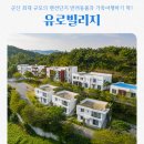 군산유로빌리지 애견 동반 가능! 가성비 가족여행 펜션