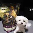 현대애견사료 이미지