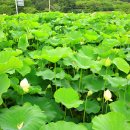 반야원 이미지