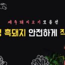 ㈜오즈렌터카 | [탐나오 서포터즈] 제주여행 서포터즈 모집
