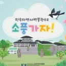 제주소풍가자 이미지