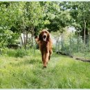 하이플레임 스테이 이미지