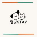 댕그니엘 이미지