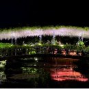 현플라워 이미지